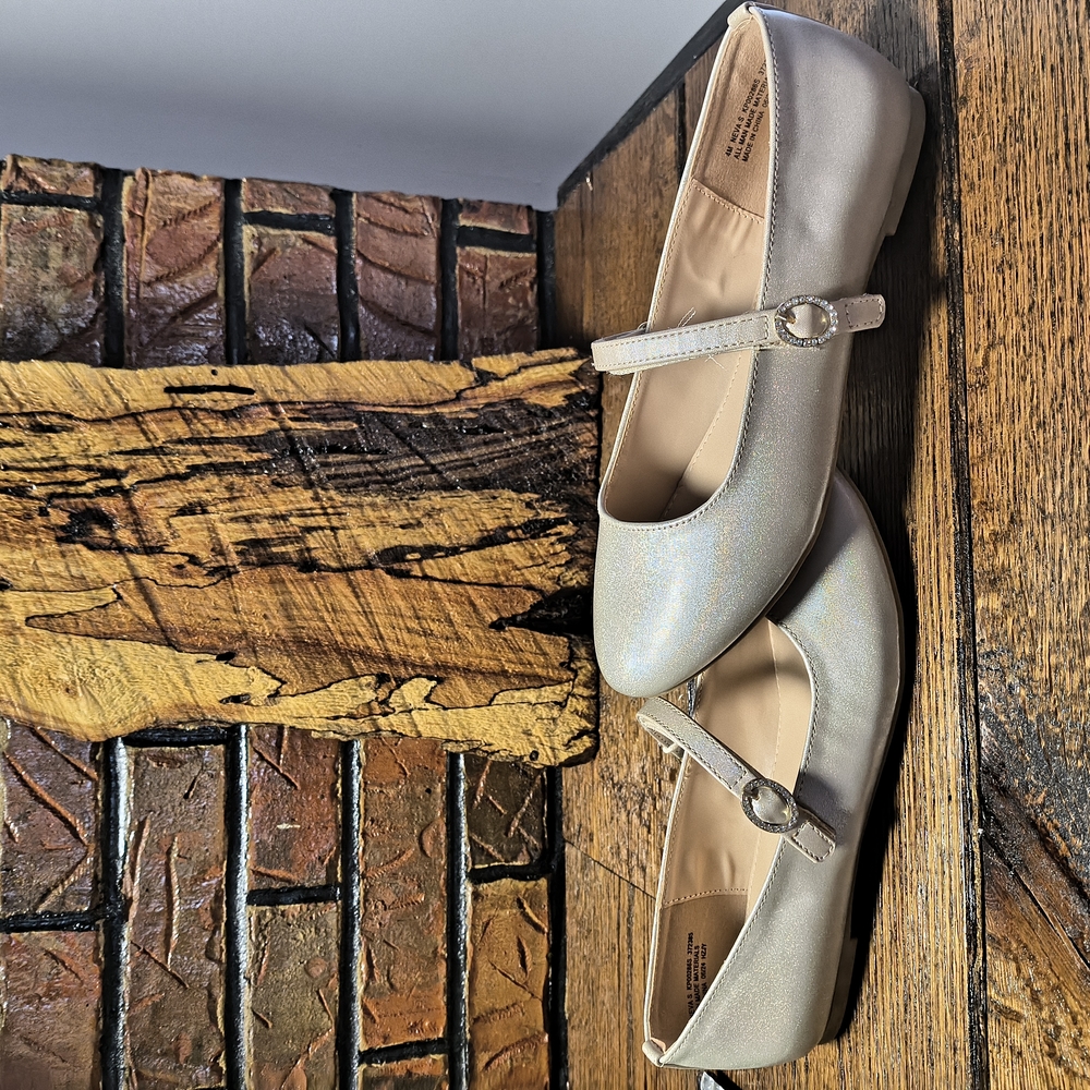 Elegant Silver Mary Jane Flats